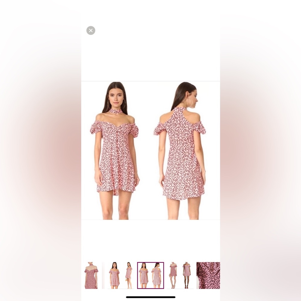 Alexis Blush and Chocolate Floral Pattern